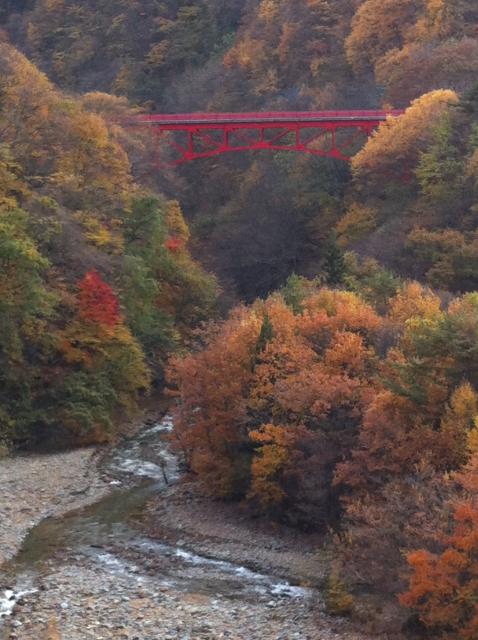 信州高山村 紅葉の高井橋 Takayama S Iconic Takai Bridge In Fall
